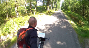 Dans la forêt de Princé