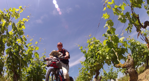 Vélo dans le Muscadet