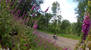 Route du Morvan