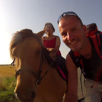 Les chevaux en baie de Somme