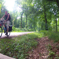 Forêt de Crécy en Ponthieu
